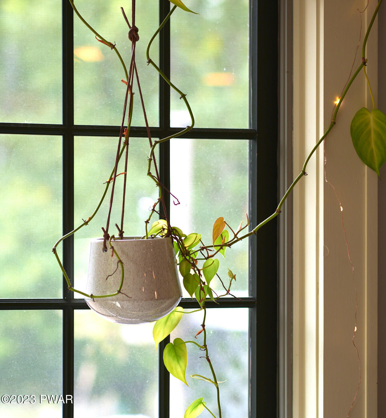 Hawley, Pennsylvania 18428, United States, 5 Bedrooms Bedrooms, ,3 BathroomsBathrooms,Residential,Active,197901