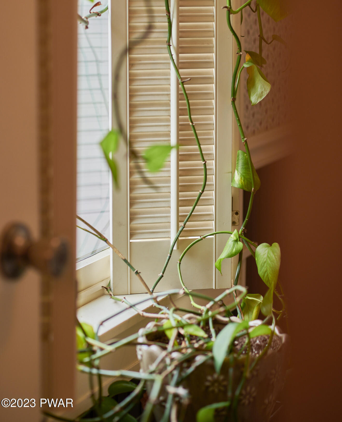 Hawley, Pennsylvania 18428, United States, 5 Bedrooms Bedrooms, ,3 BathroomsBathrooms,Residential,Active,197901