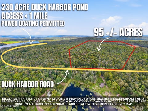 Vacant Land For Sale - Duck Harbor Road<br/> Wayne County, Equinunk, PA 18431
