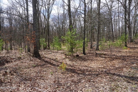 Vacant Land For Sale - LOT #4 Roosie Road<br/> Dingmans Ferry, PA 18328