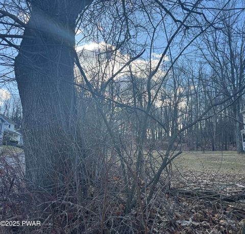 Vacant Land For Sale - 149 Upper Powderly Street<br/> Carbondale, PA 18407