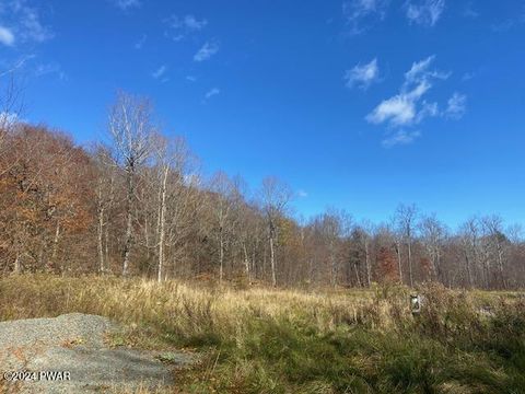 Vacant Land For Sale - Rotten Road<br/> Equinunk, PA 18417