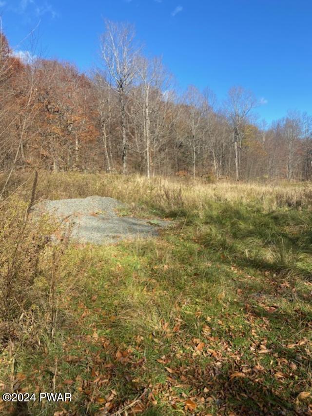 Rotten Road, Equinunk, Pennsylvania image 2