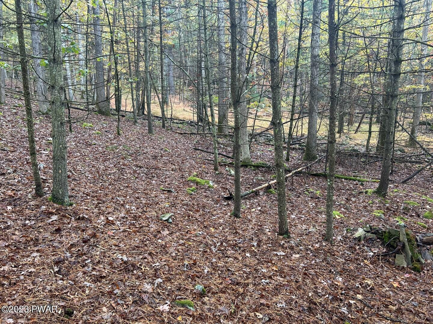 Lot 3 Cedar Ridge Road, Hawley, Pennsylvania image 3