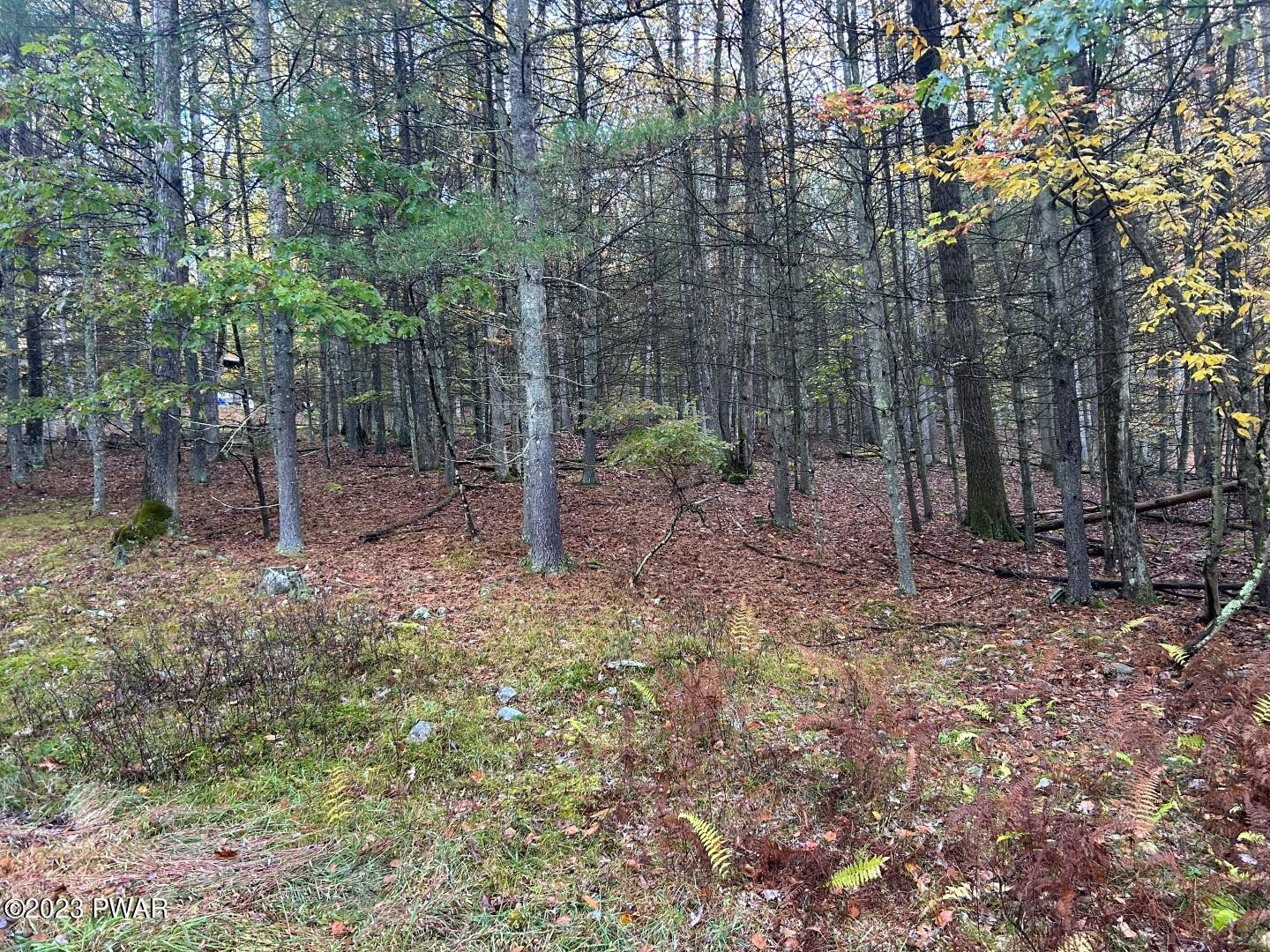 Lot 3 Cedar Ridge Road, Hawley, Pennsylvania image 6