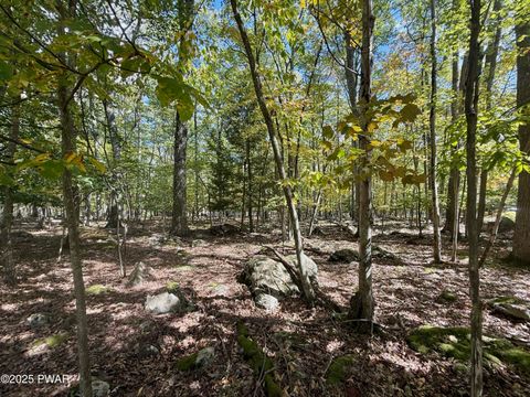 Vacant Land For Sale - Paper Birch N<br/> Tafton, PA 18464