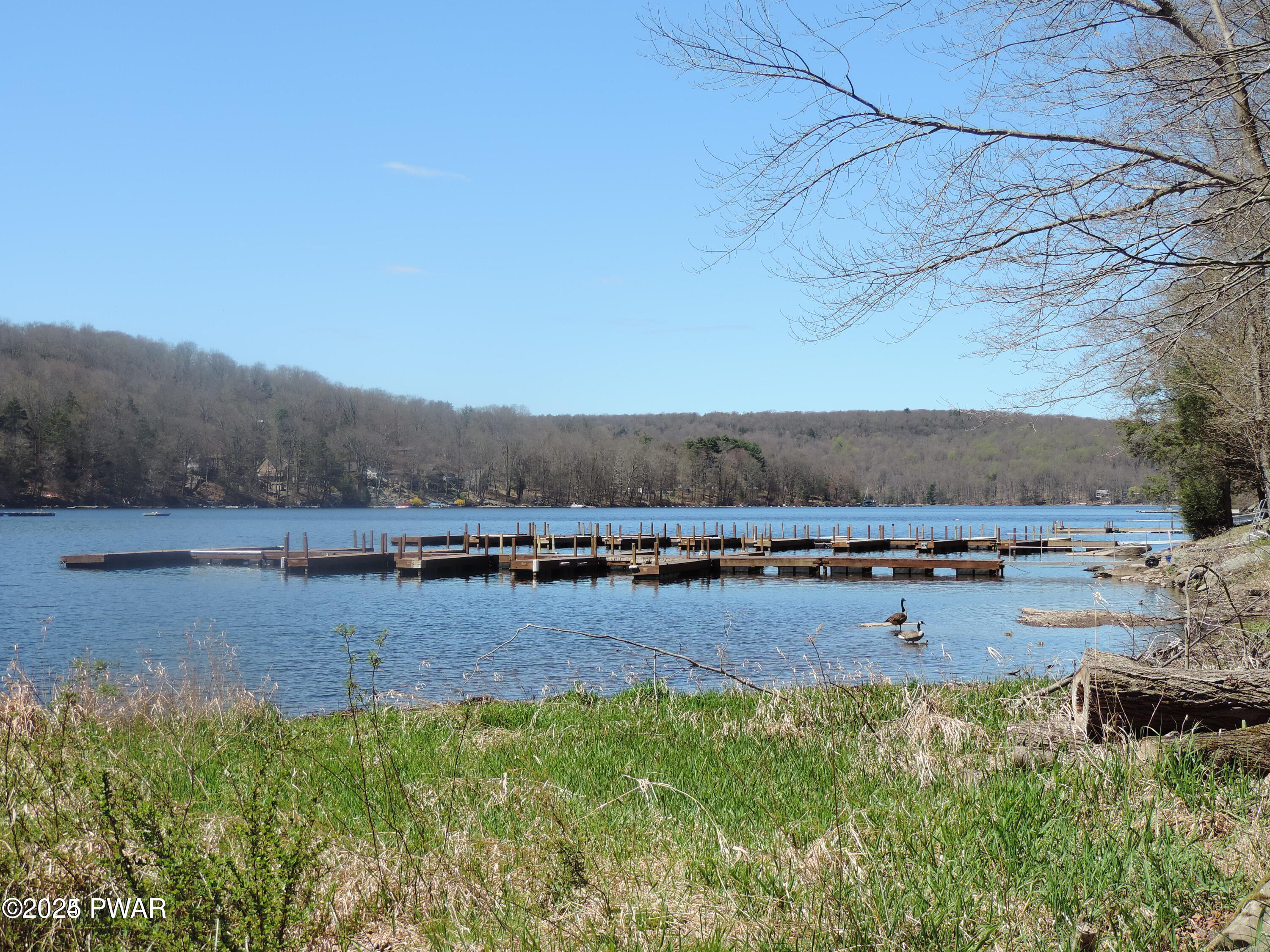 116 Beechwood Cove Road, Greentown, Pennsylvania image 5