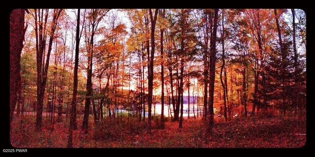 116 Beechwood Cove Road, Greentown, Pennsylvania image 30