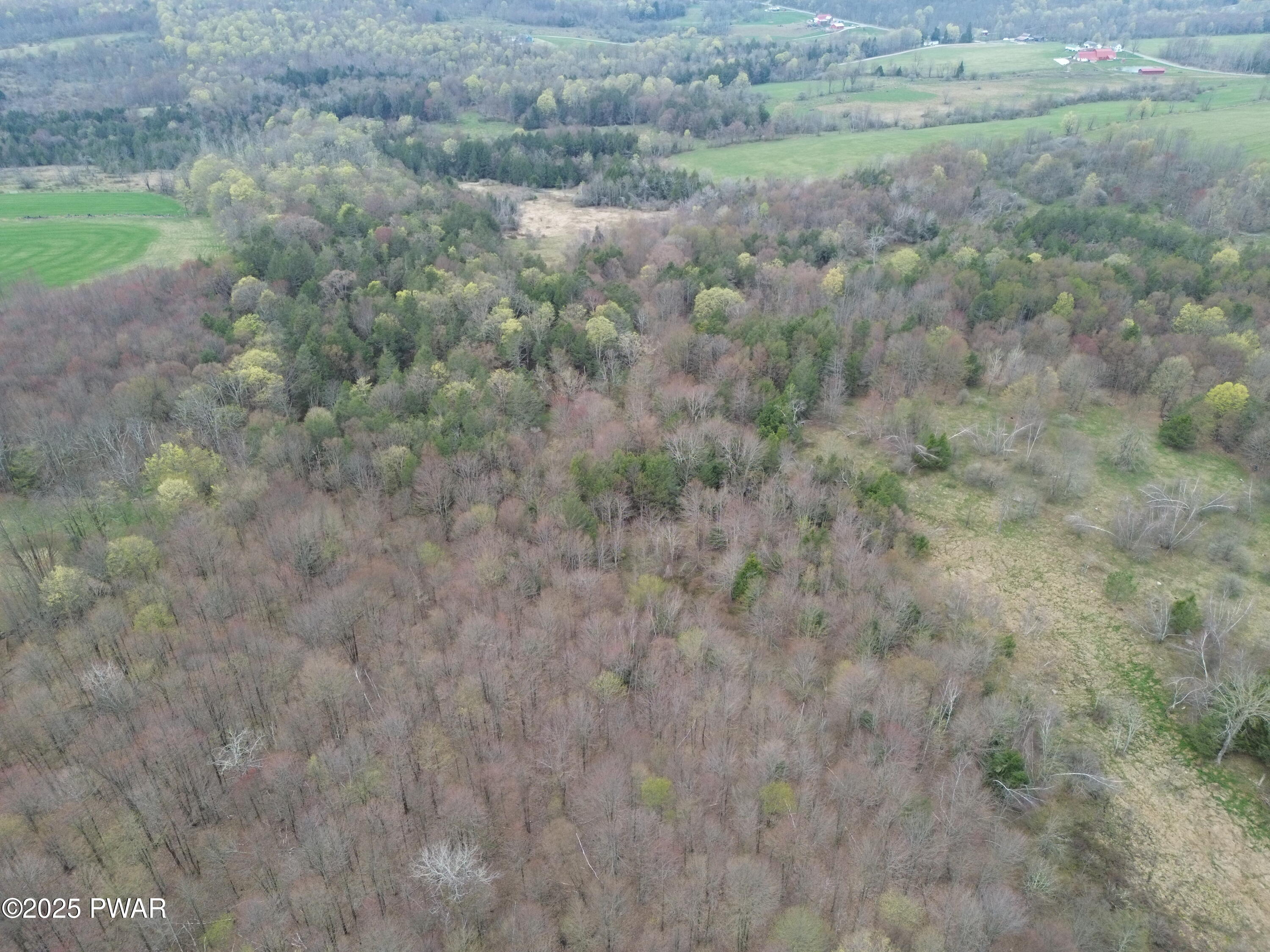 Ayoub Road, Pleasant Mount, Pennsylvania image 5