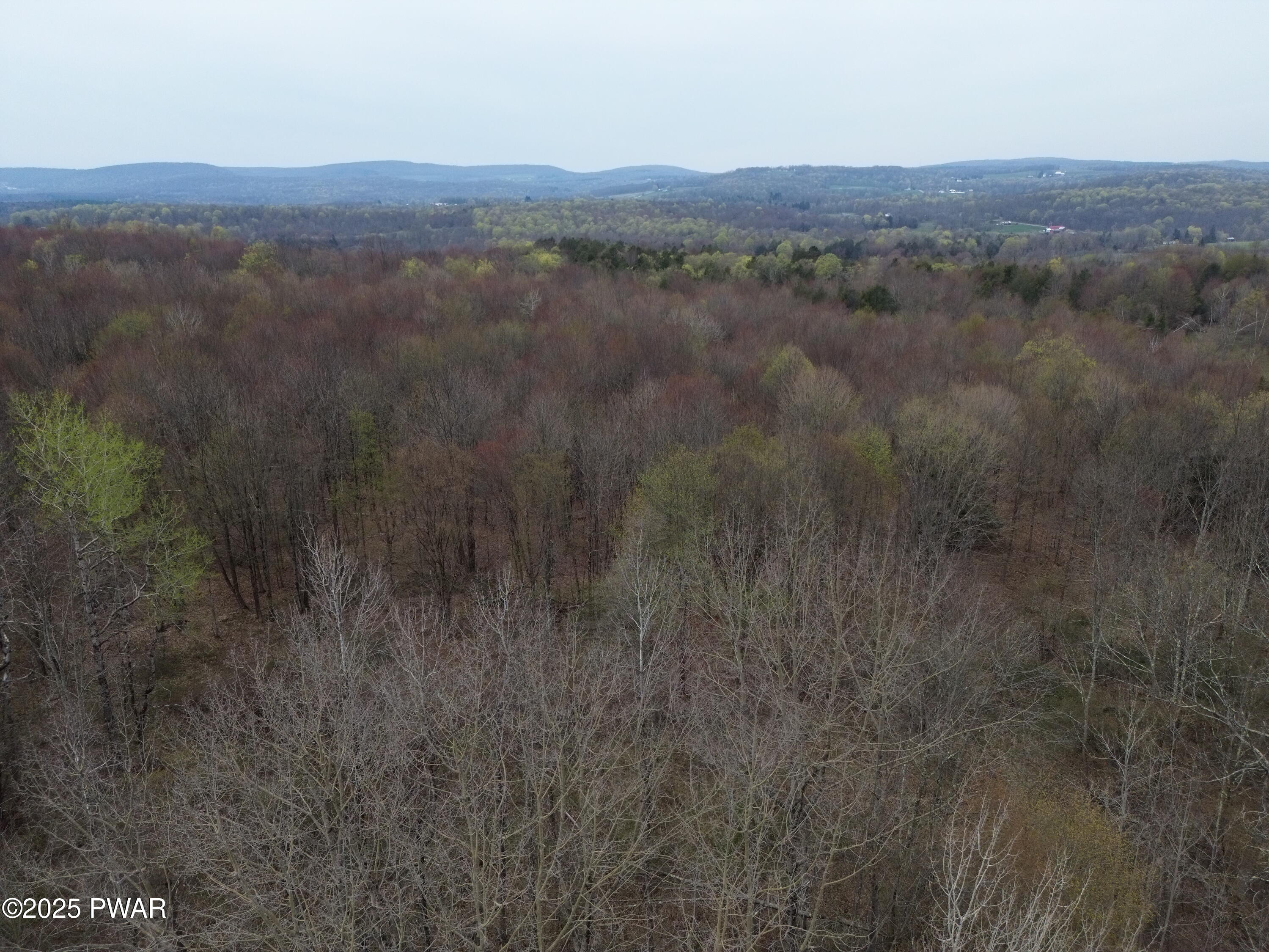 Ayoub Road, Pleasant Mount, Pennsylvania image 7