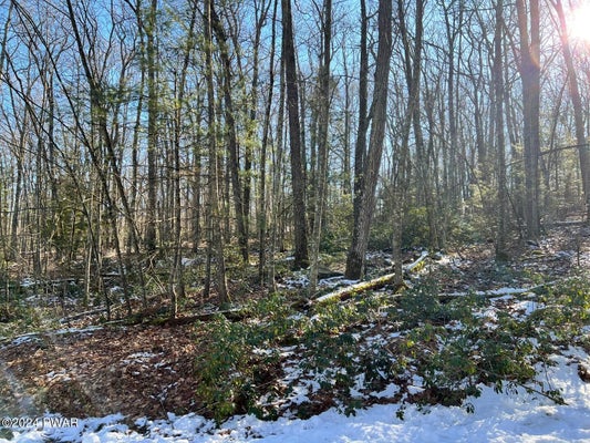LOT 762 MOUNTAIN SNOW CIRCLE, TAFTON, PA 18464 - Image d616ade4e330b668893cb3fd4bc0d55e/2885244278