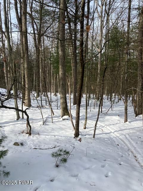 Vacant Land For Sale - LOT 4 Fox Road<br/> Dingmans Ferry, PA 18328