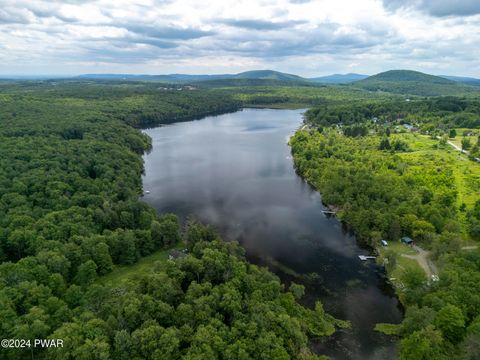 Vacant Land For Sale - LOT R-C1 Spruce Lake Road<br/> Wayne County, Thompson, PA 18465