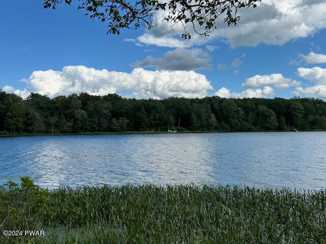 Lot R-C1 Spruce Lake Road, Thompson, Pennsylvania image 1