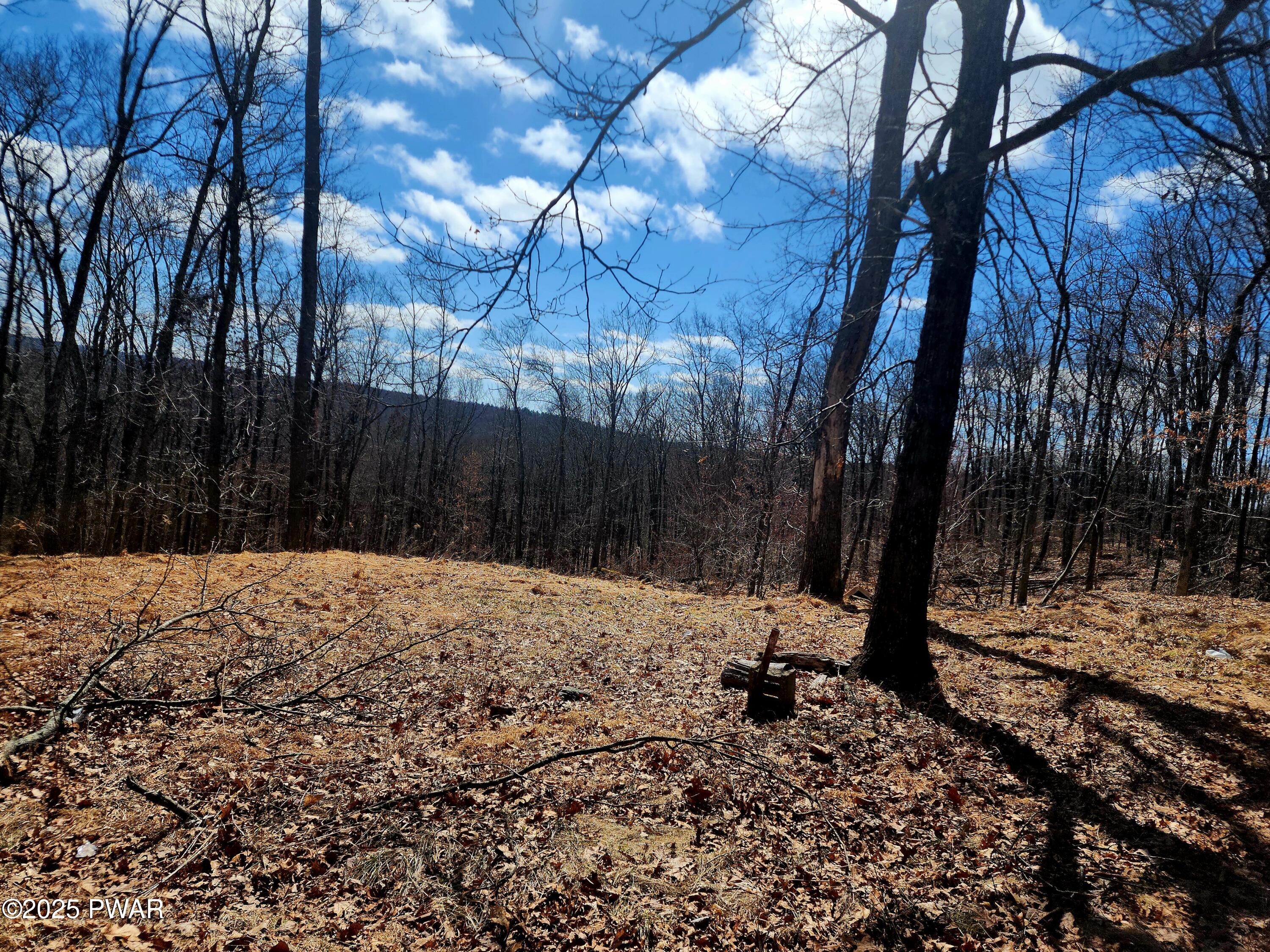 Lot 32 Deer Park Lane, Hawley, Pennsylvania image 3