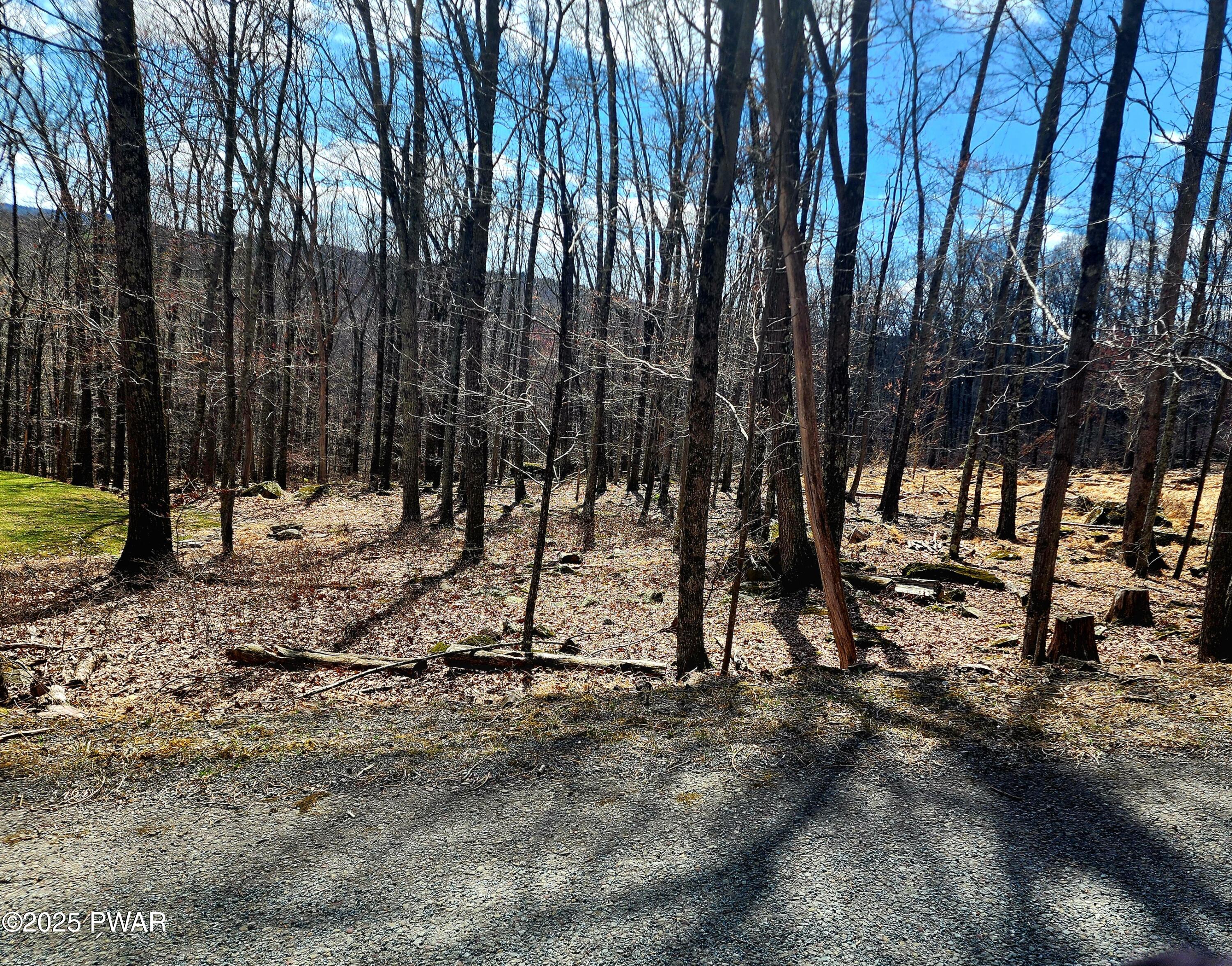Lot 32 Deer Park Lane, Hawley, Pennsylvania image 4