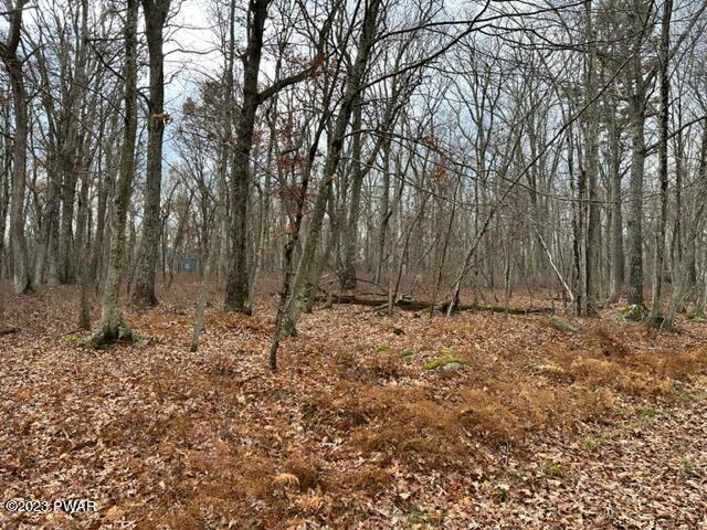 149 Lot 149 Mountain Top Road Road, Lackawaxen, Pennsylvania image 6