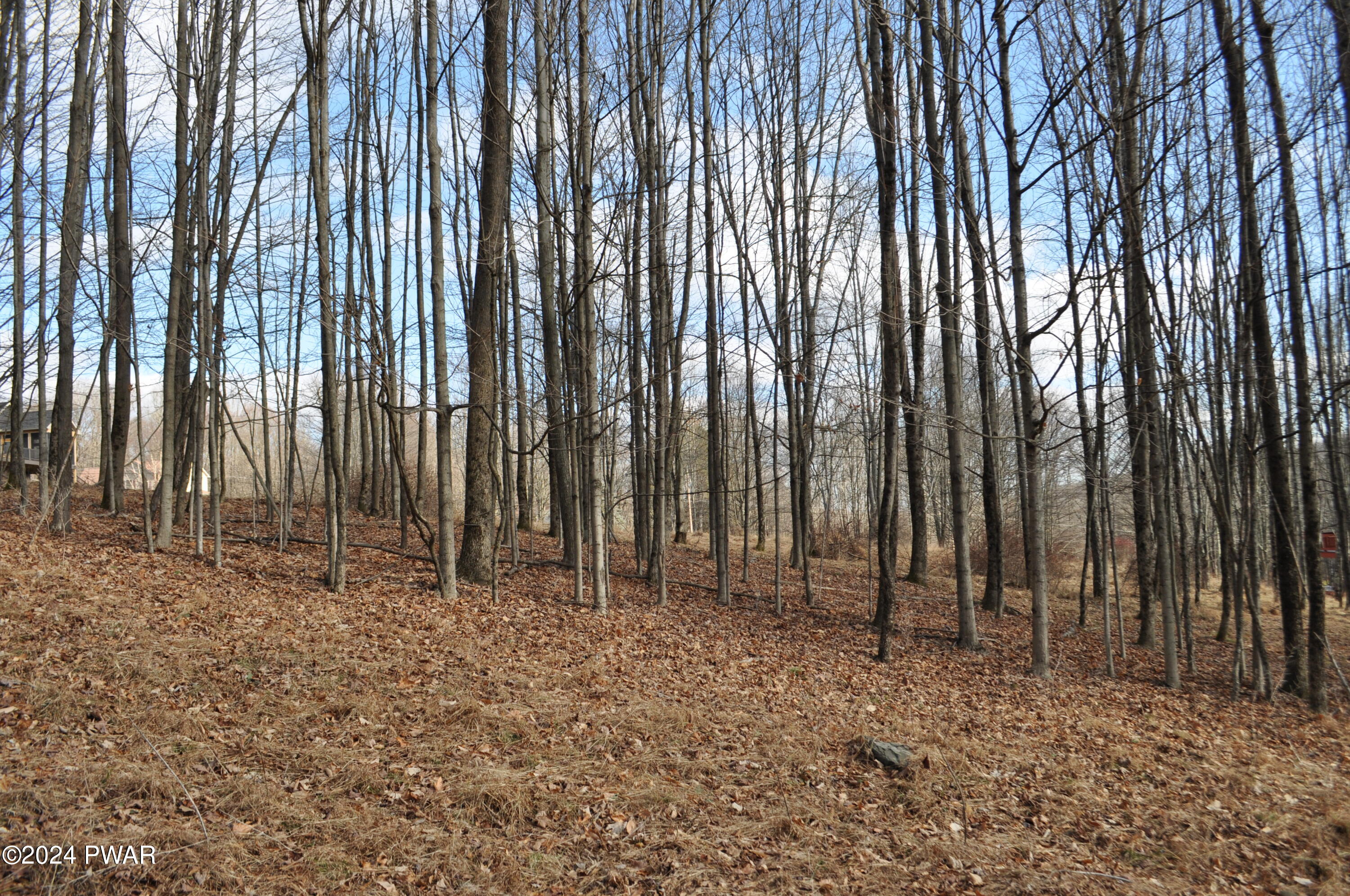 Bear Tree Road, Lake Ariel, Pennsylvania image 9