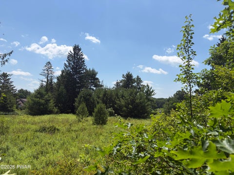 Vacant Land For Sale - 101 Burning Tree Drive<br/> Hawley, PA 18428
