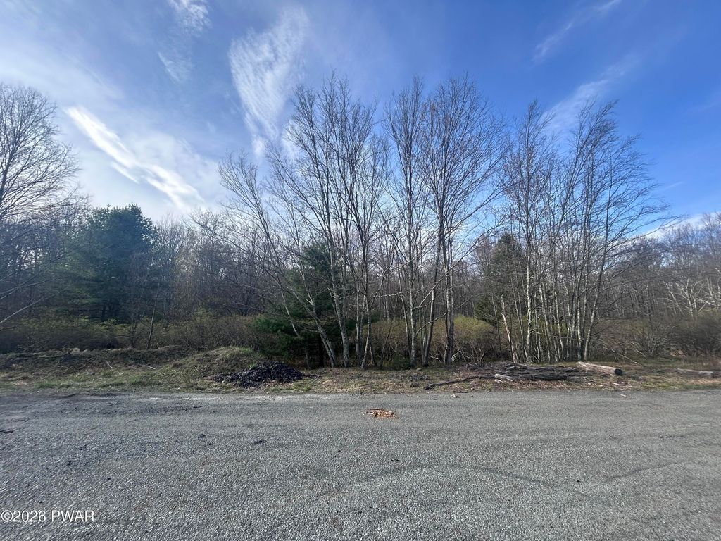 Photo of fox Road, Dingmans Ferry, PA 18328 (MLS # PW261046)