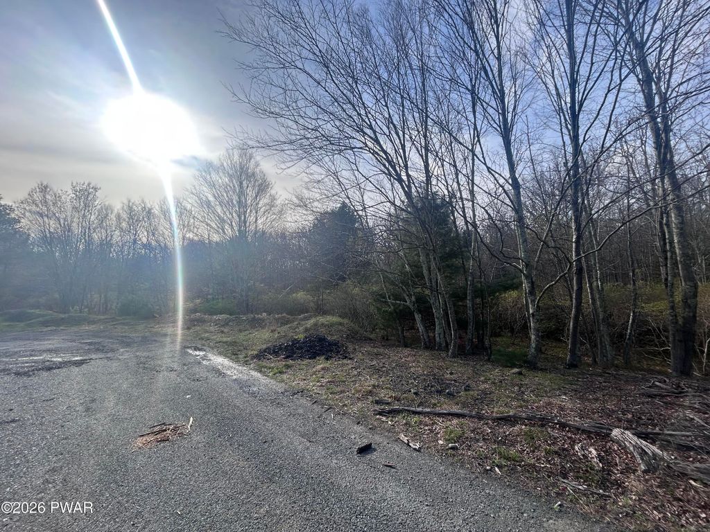 Photo of fox Road, Dingmans Ferry, PA 18328 (MLS # PW261046)
