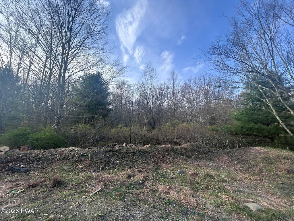 Photo of fox Road, Dingmans Ferry, PA 18328 (MLS # PW261046)