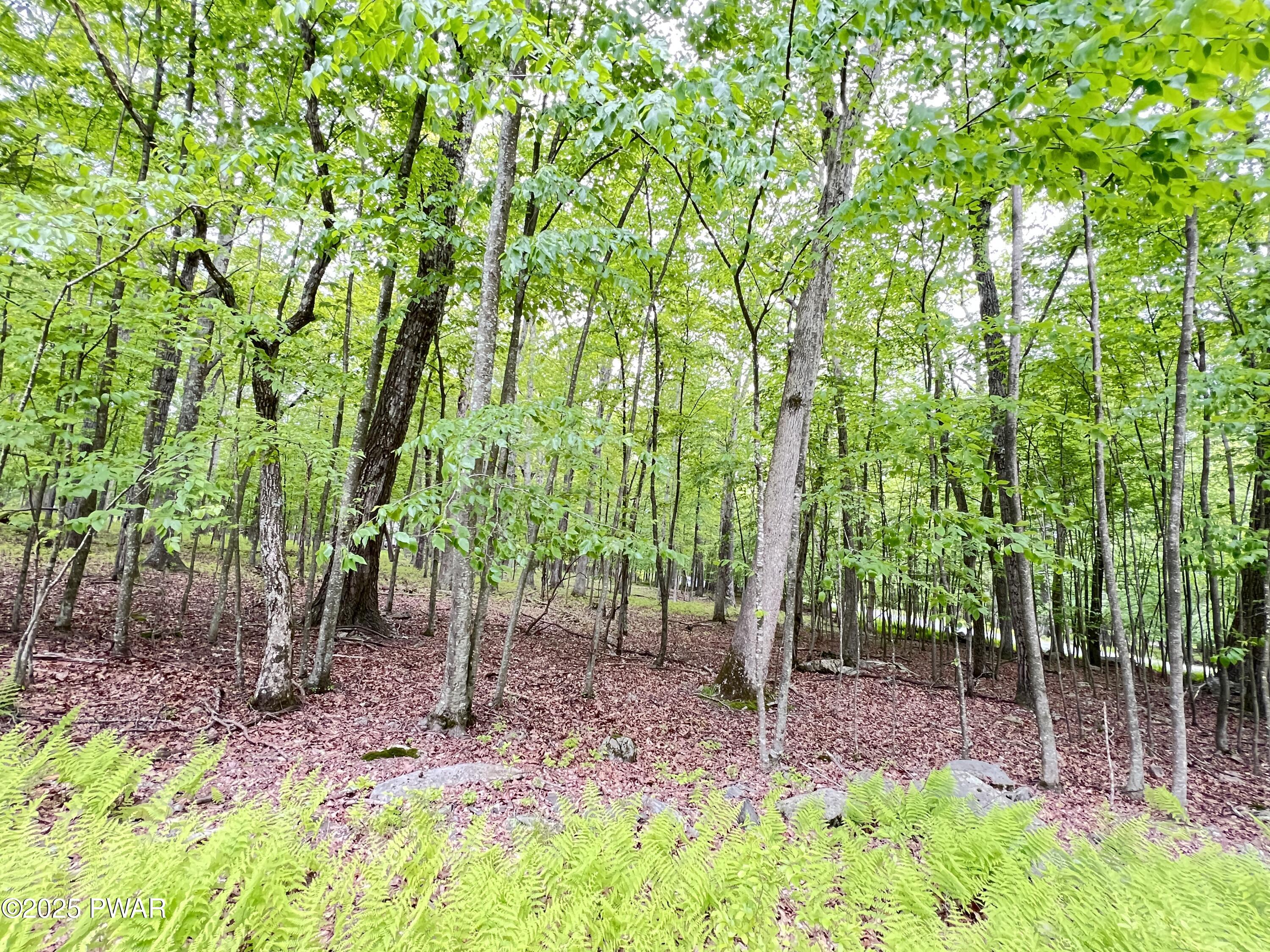 147 Ledgeway Dr Drive, Dingmans Ferry, Pennsylvania image 7