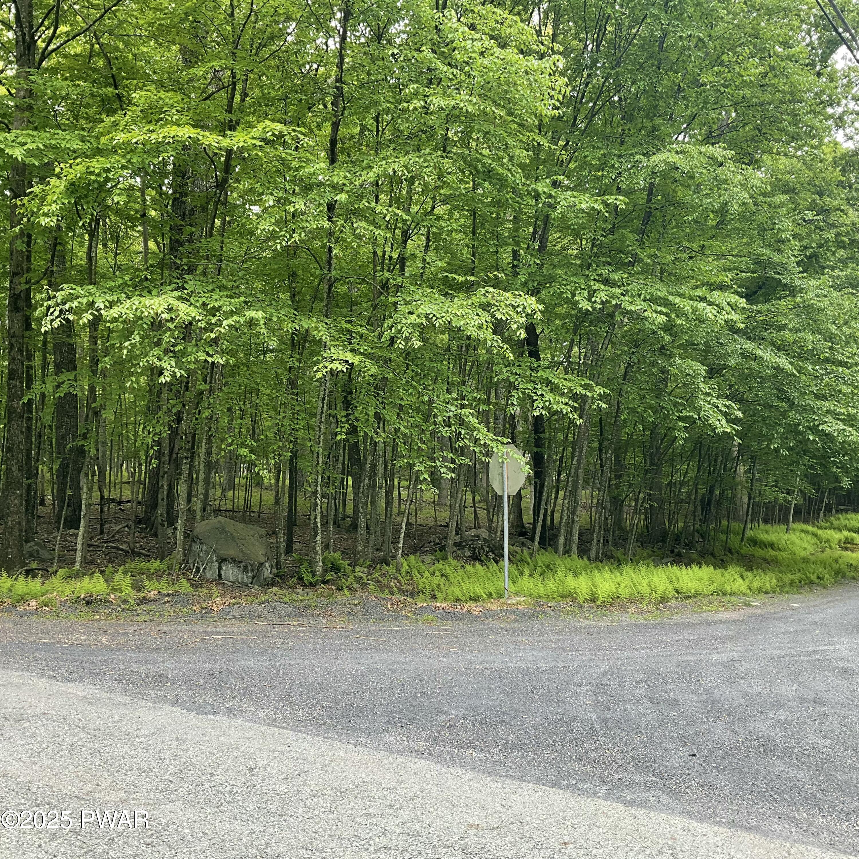 147 Ledgeway Dr Drive, Dingmans Ferry, Pennsylvania image 1