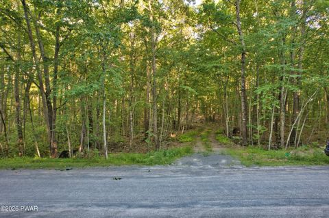 Vacant Land For Sale - 102 White Birch Drive<br/> Hawley, PA 18428