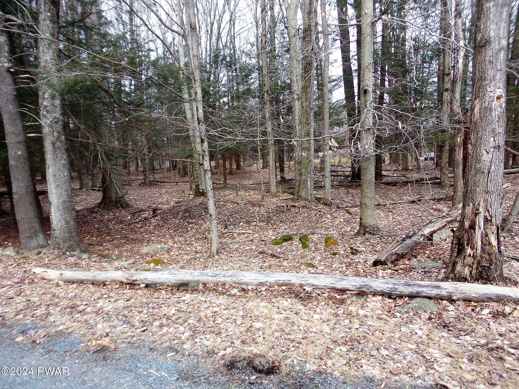 Lot 216 Aquarius Lane, Lake Ariel, Pennsylvania image 5