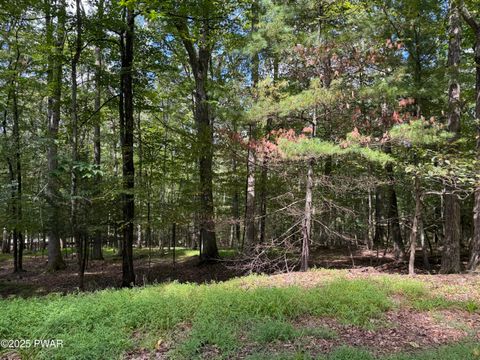 Vacant Land For Sale - Cedar Ridge Road<br/> Hawley, PA 18428