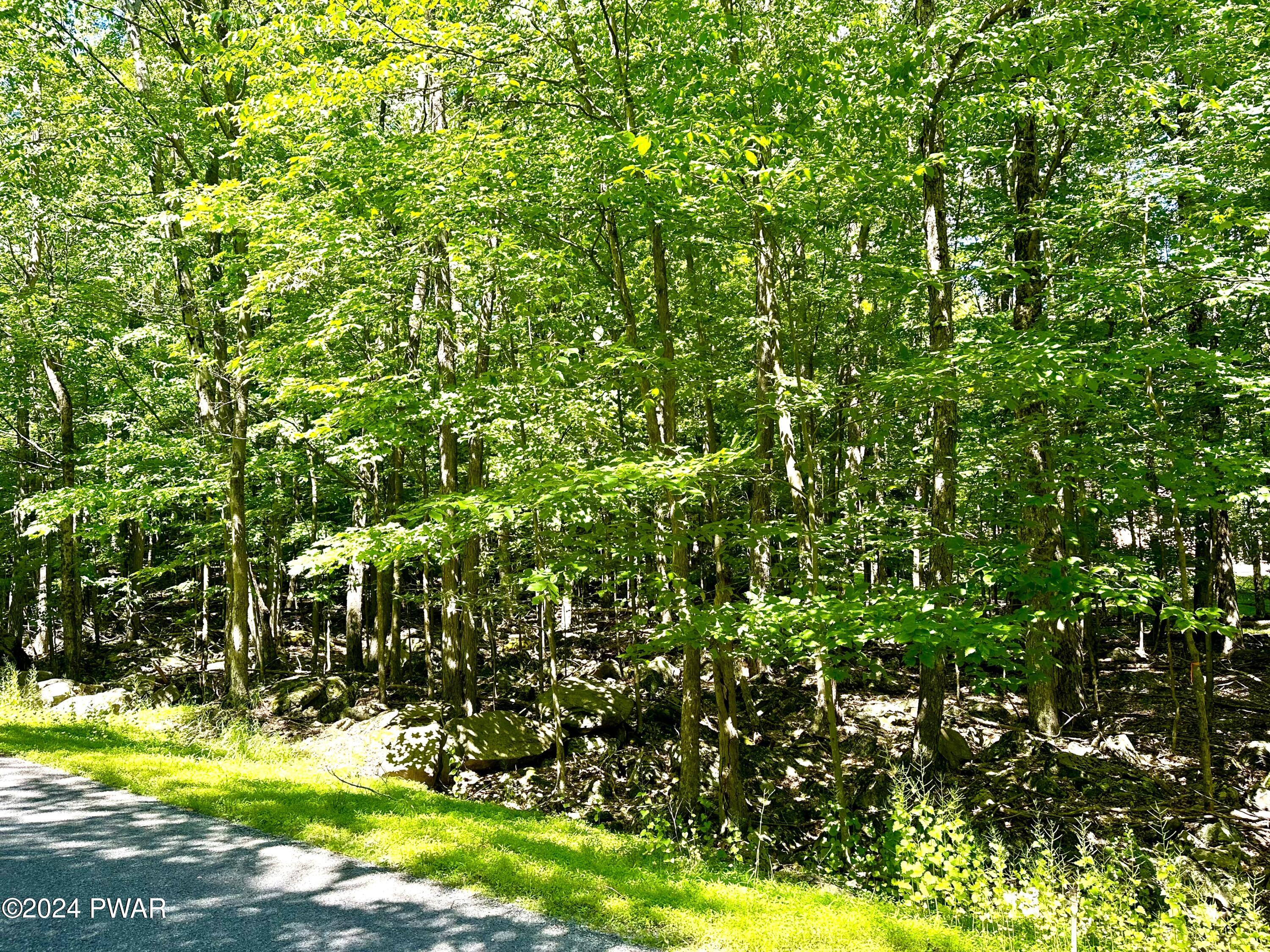 Lot 594 Hemlock Path, Lake Ariel, Pennsylvania image 2