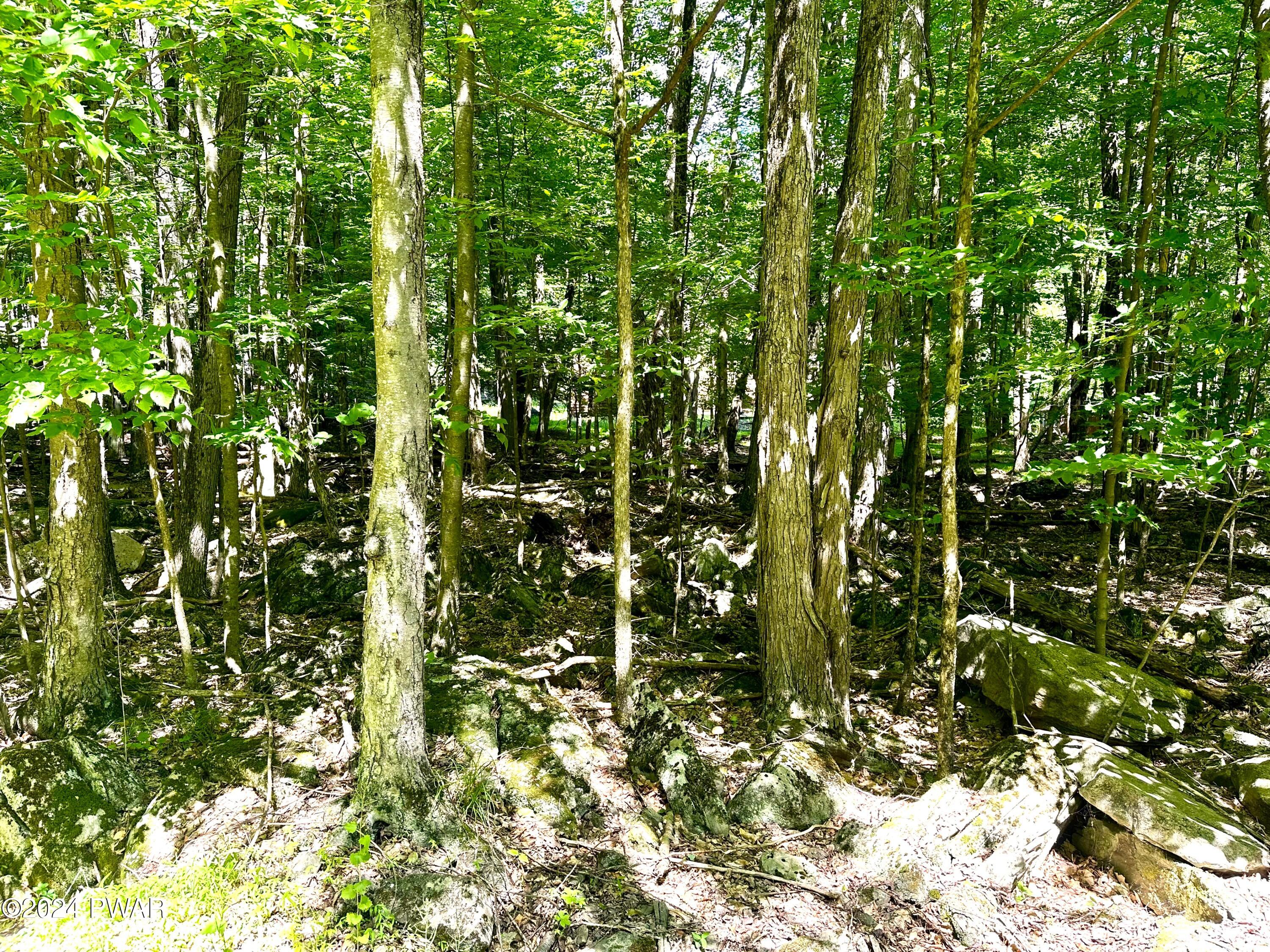 Lot 594 Hemlock Path, Lake Ariel, Pennsylvania image 4