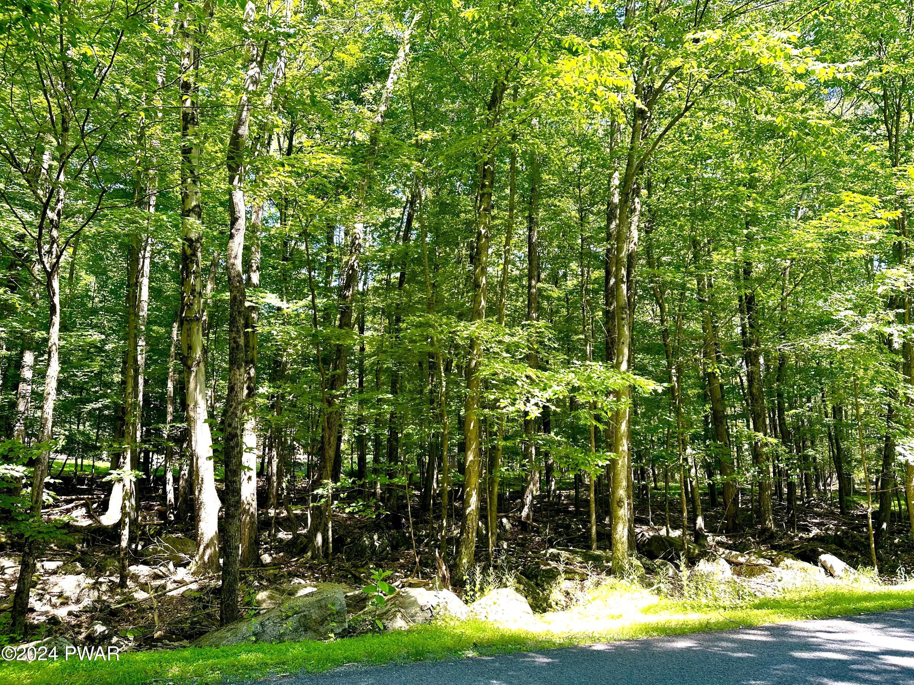 Lot 594 Hemlock Path, Lake Ariel, Pennsylvania image 3