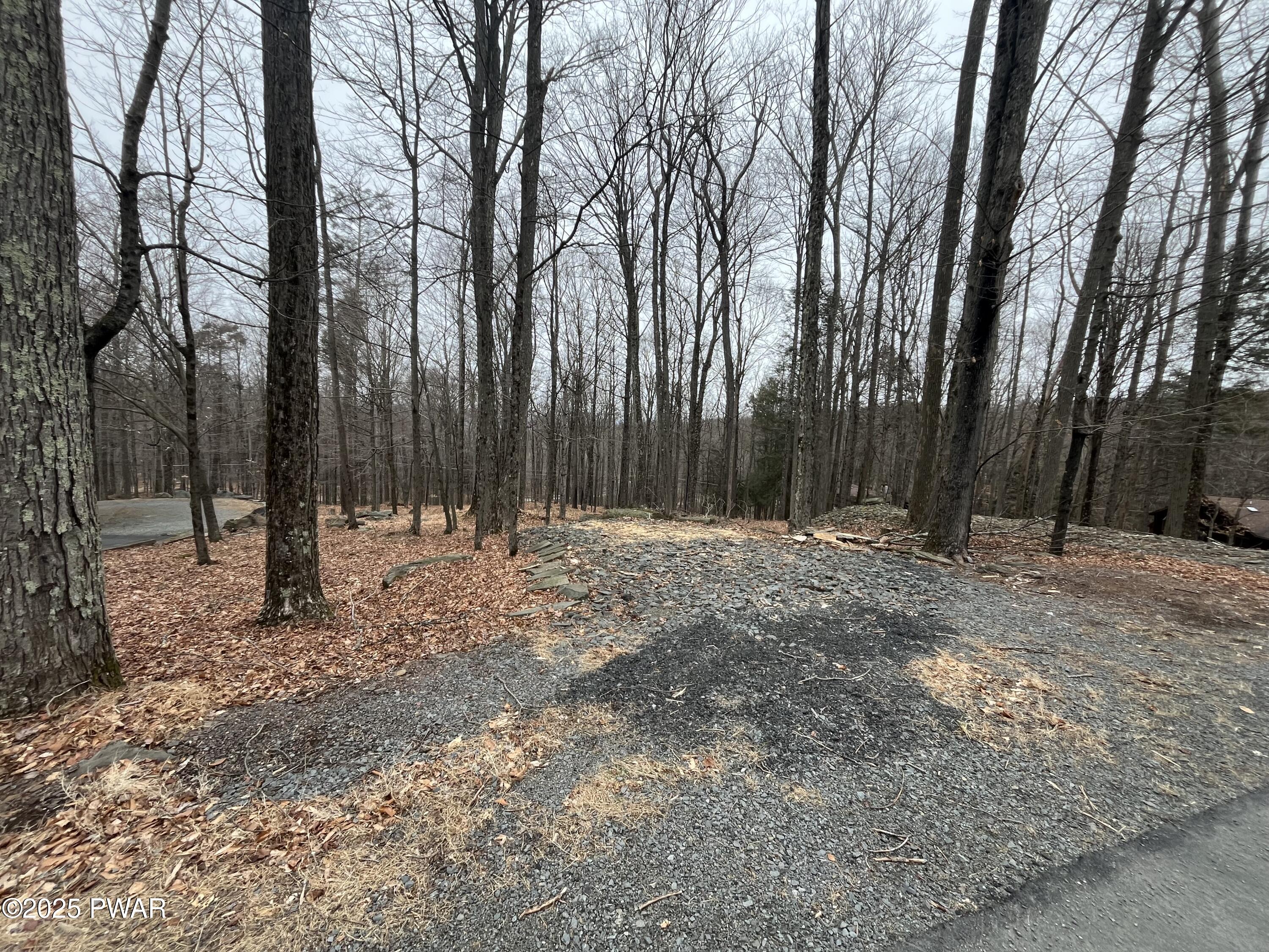 Grasshopper Lane, Greentown, Pennsylvania image 2