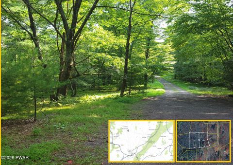 Vacant Land For Sale - LOT 34-35 Pine Tree Rd 35 Road<br/> Cresco, PA 18326