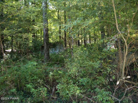 Vacant Land For Sale - LOT 3 Gilpin Road<br/> Wayne County, Newfoundland, PA 18445