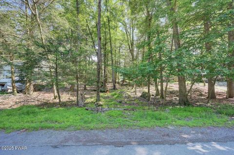 Vacant Land For Sale - 54 Wallenpaupack Drive<br/> Wayne County, Lake Ariel, PA 18436
