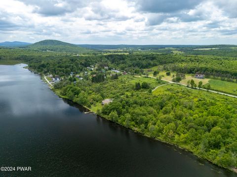 Vacant Land For Sale - LOT R-C2 Spruce Lake Road<br/> Wayne County, Thompson, PA 18465
