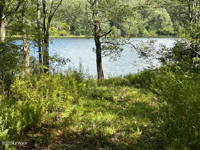 Lot R-C2 Spruce Lake Road, Thompson, Pennsylvania image 2