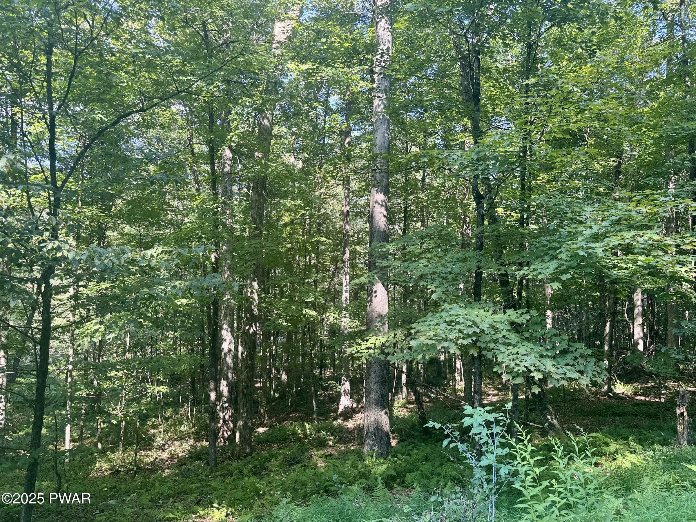 Equinunk, Pennsylvania, 18417, United States, 3 Bedrooms Bedrooms, ,3 BathroomsBathrooms,Residential,Active,1914829