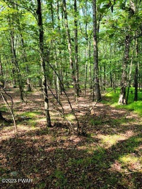 Lot 358 Westwood Lane, Hawley, Pennsylvania image 6