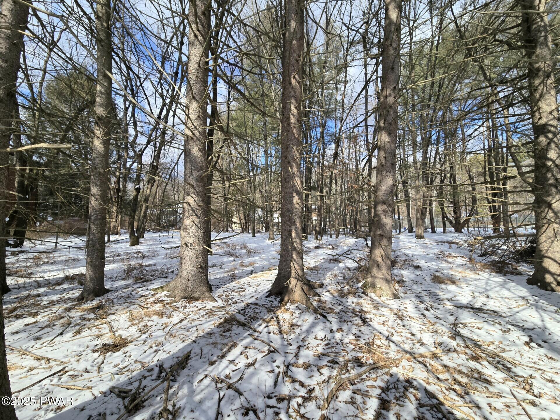 Lot 1 Lake Of The Pines Blvd S 1 Boulevard, East Stroudsburg, Pennsylvania image 7