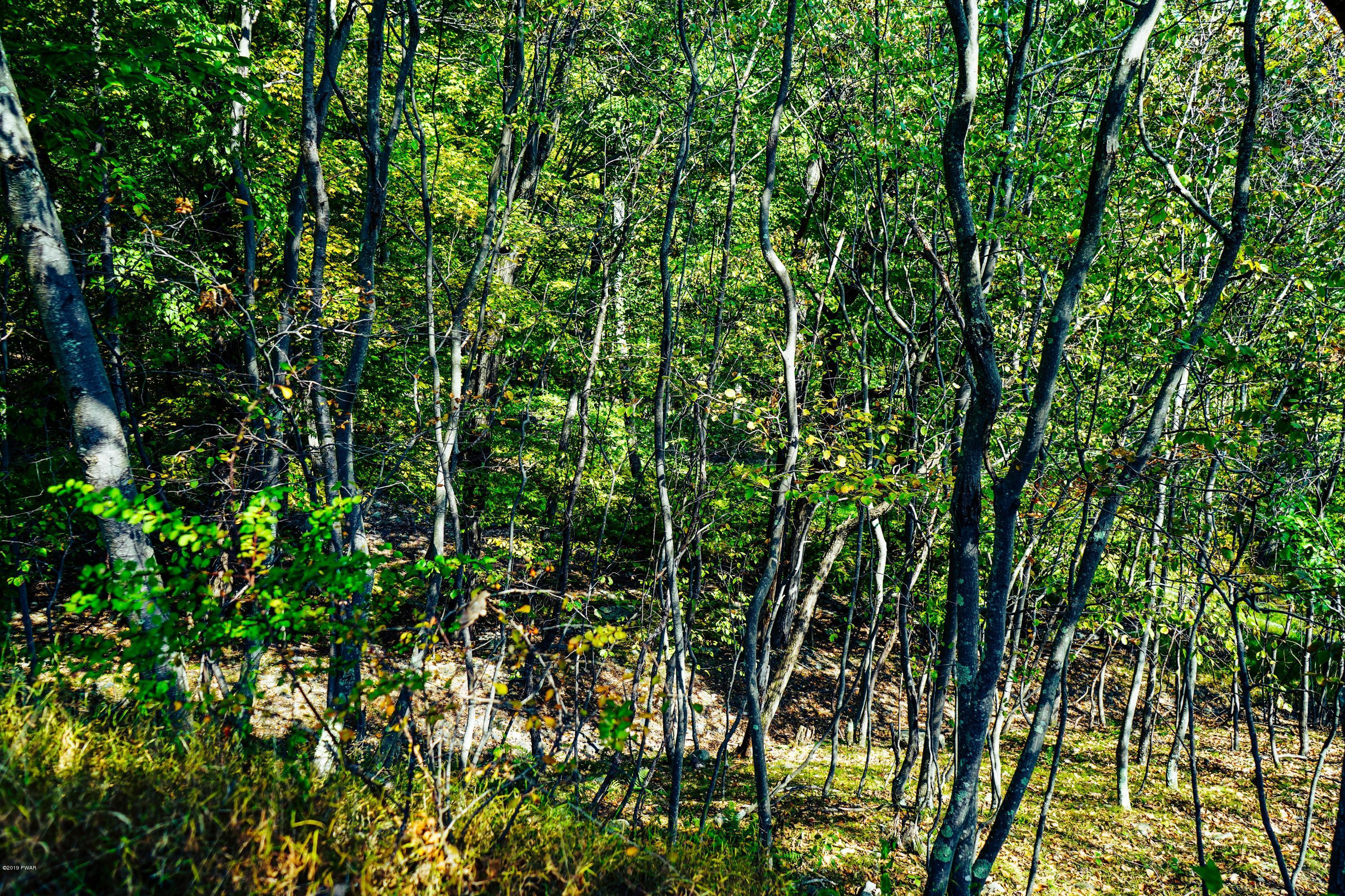 2313 Milford Road, Bushkill, Pennsylvania image 16