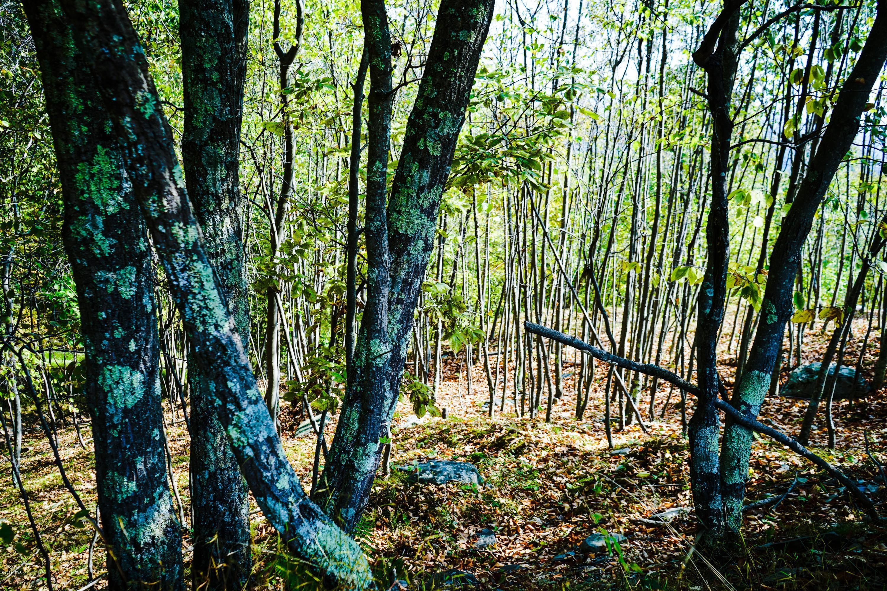 2313 Milford Road, Bushkill, Pennsylvania image 6