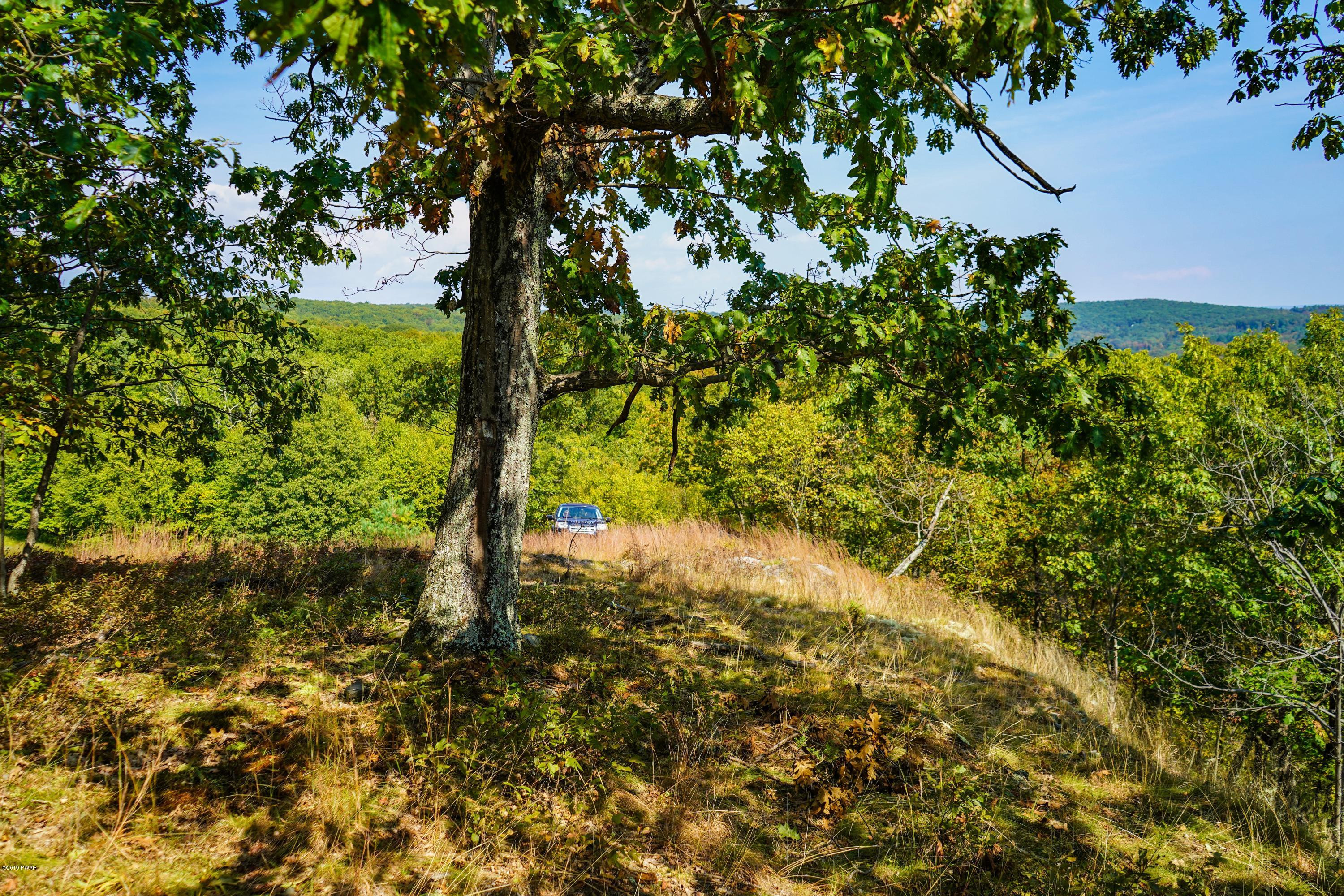 2313 Milford Road, Bushkill, Pennsylvania image 7