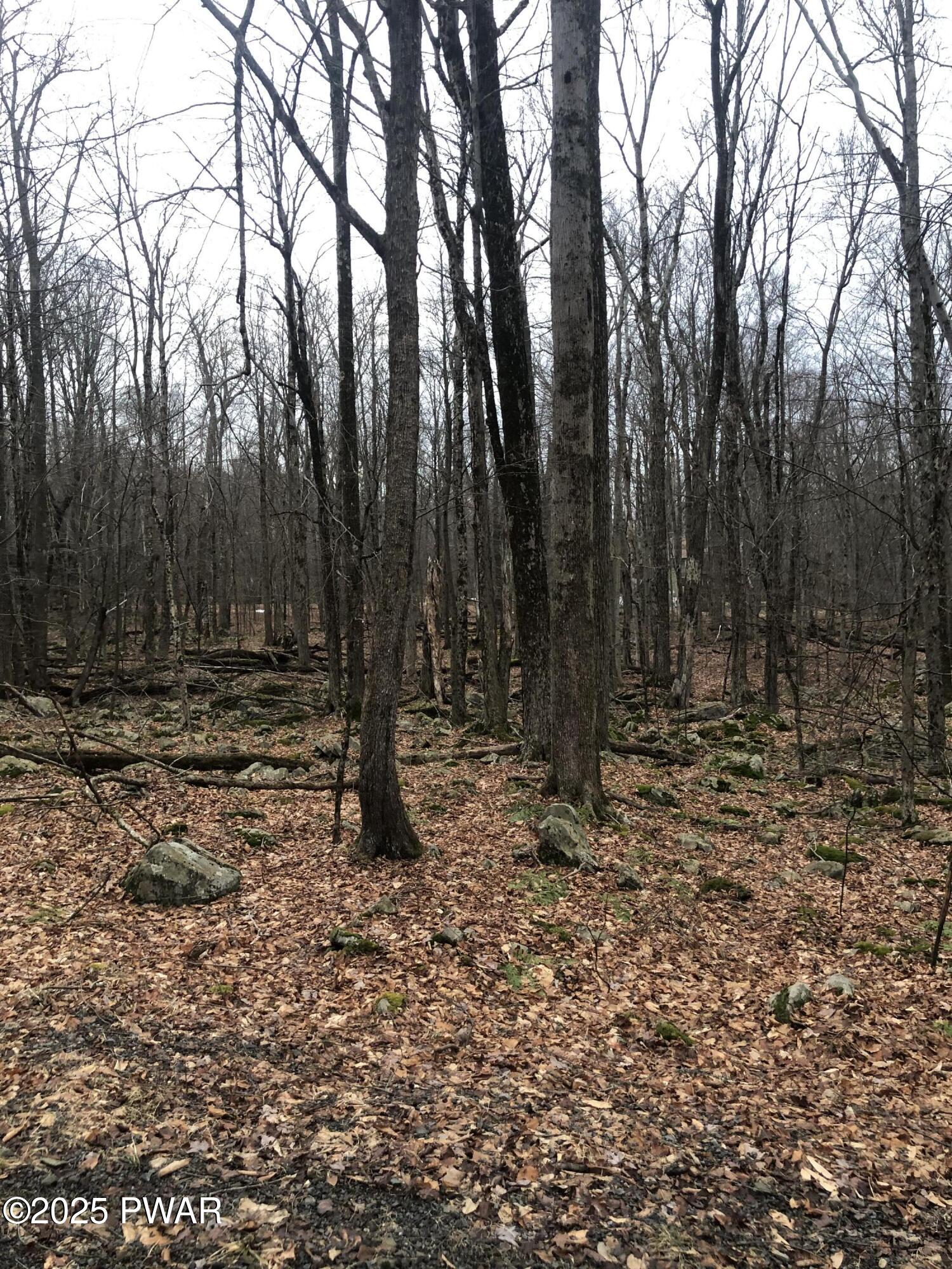62 Sycamore Drive, Newfoundland, Pennsylvania image 4