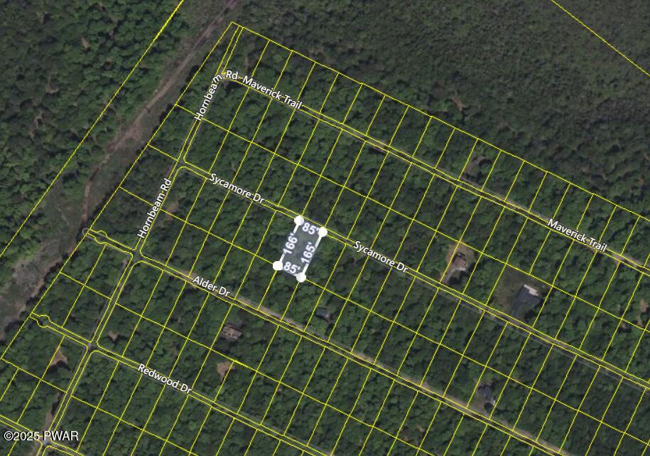 62 Sycamore Drive, Newfoundland, Pennsylvania image 3