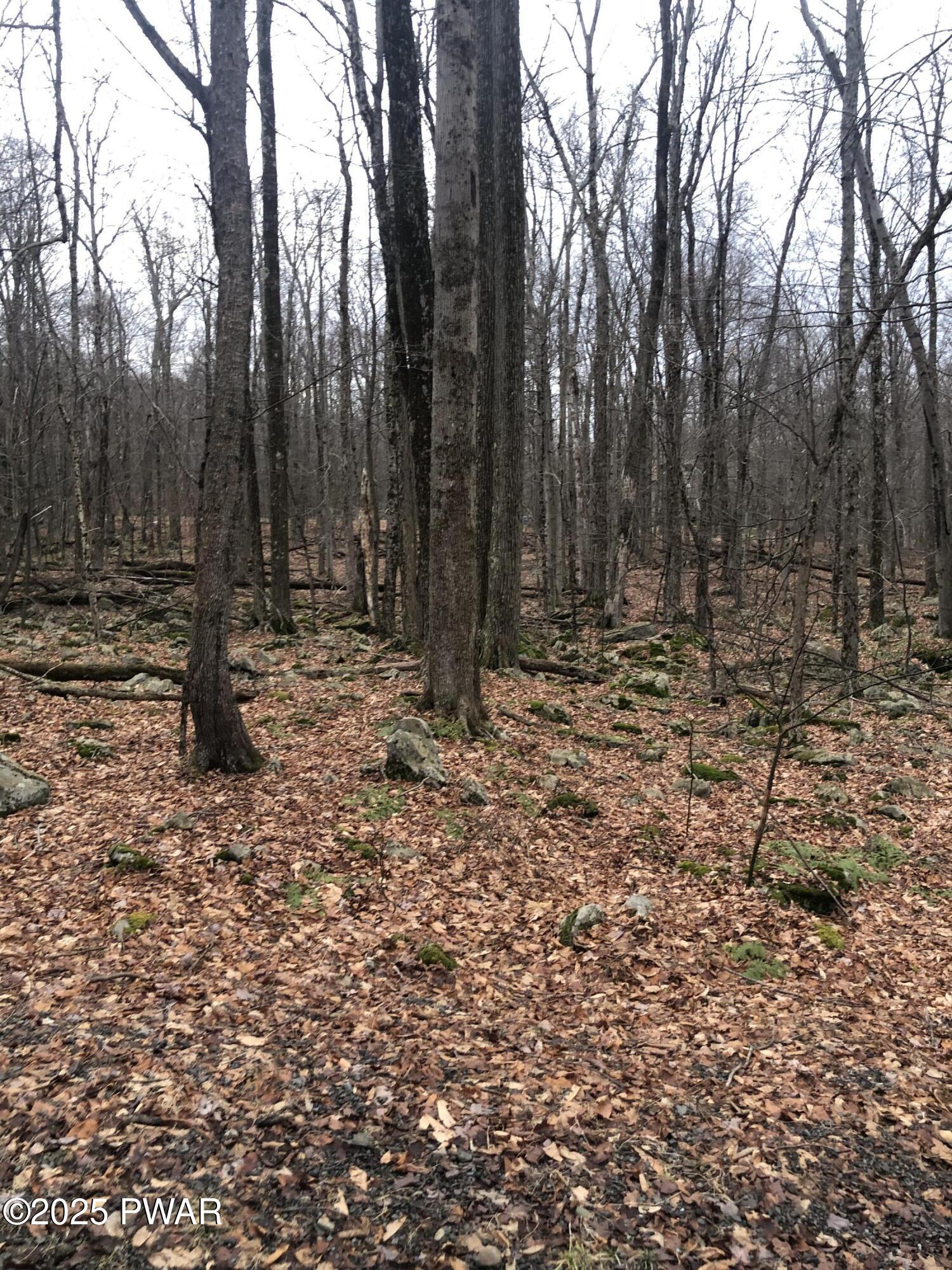 62 Sycamore Drive, Newfoundland, Pennsylvania image 6