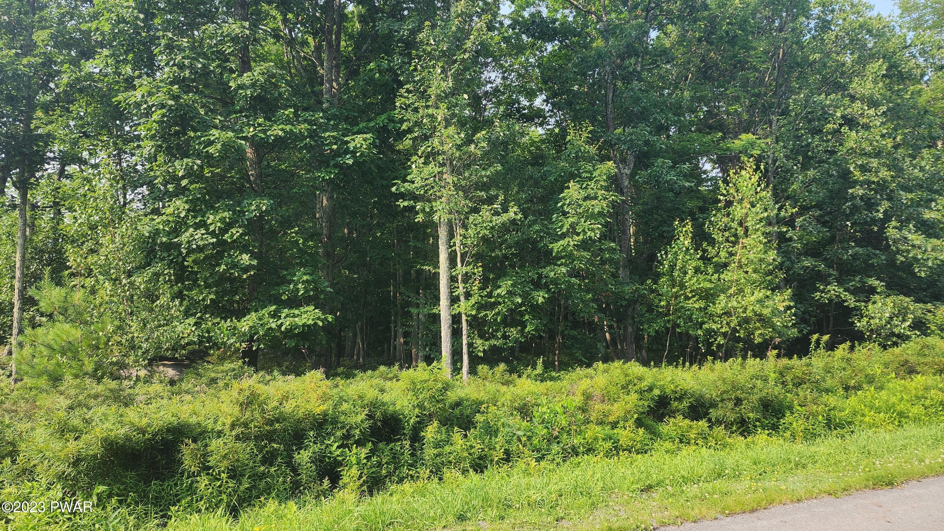 Lot 27 Blue Heron Way, Hawley, Pennsylvania image 4